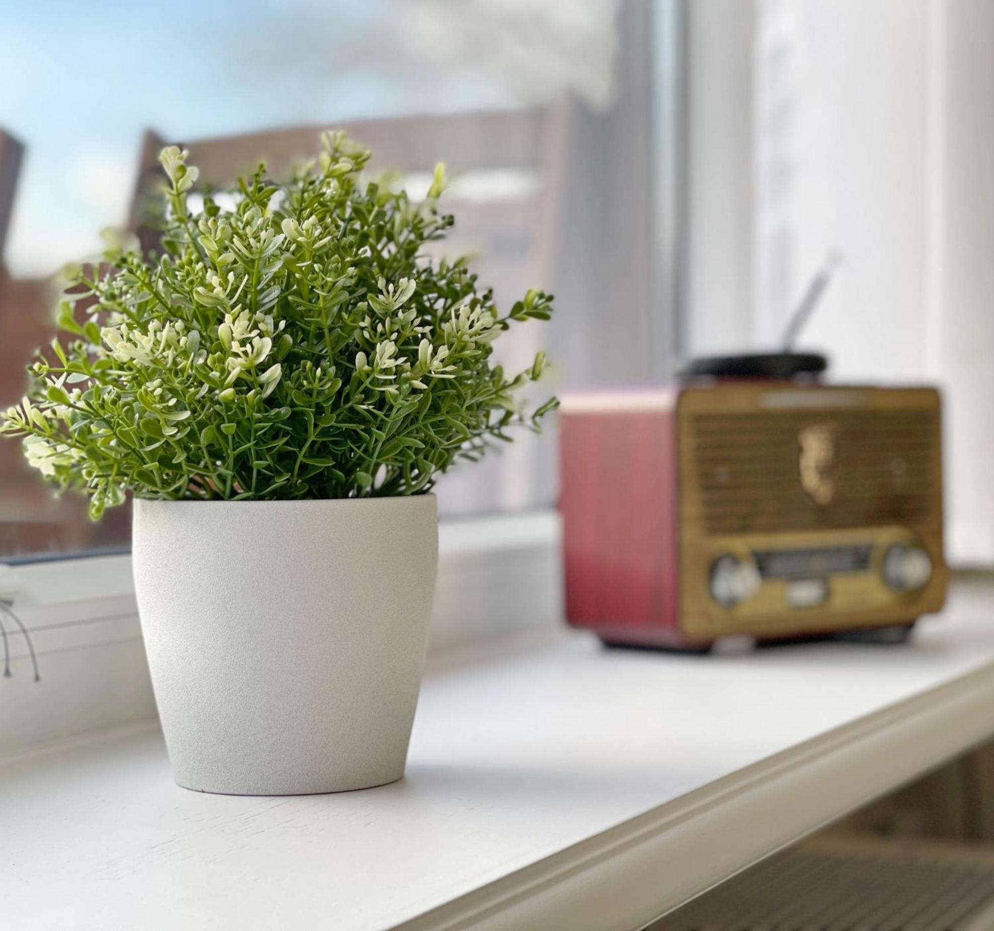 Ferienwohnung In Tinnum Mit Balkon Sylt エクステリア 写真